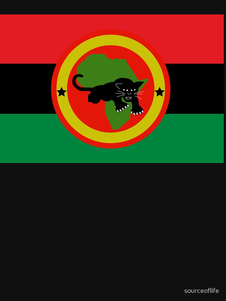 black panther party flag