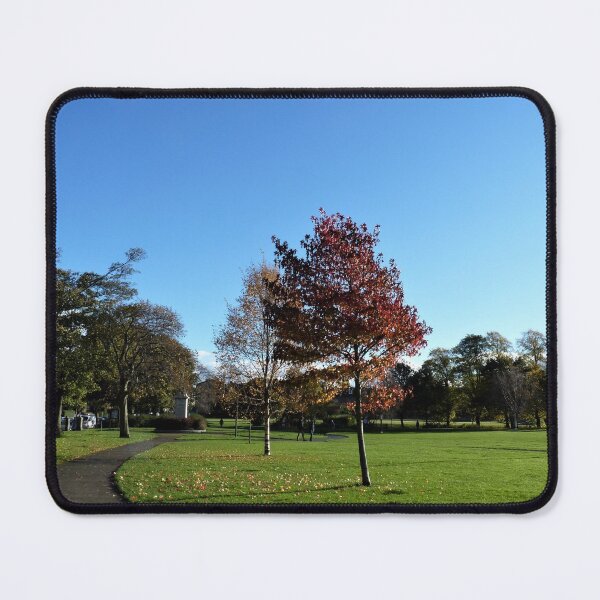 Item preview, Autumn Tree in Edinburgh designed and sold by Yonmei.