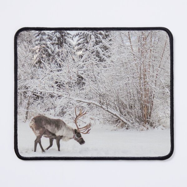 Item preview, Reindeer in Snow - Alaska Winter Scene designed and sold by BeeLightPhotos.