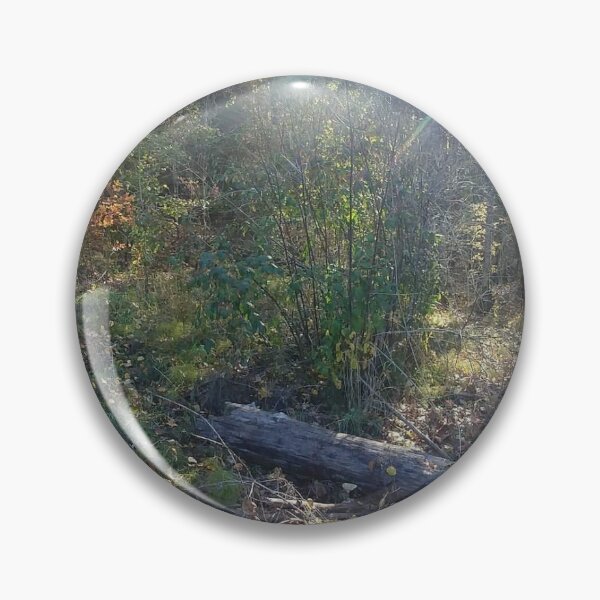 Item preview, Forest  designed and sold by Fireflyimpala.