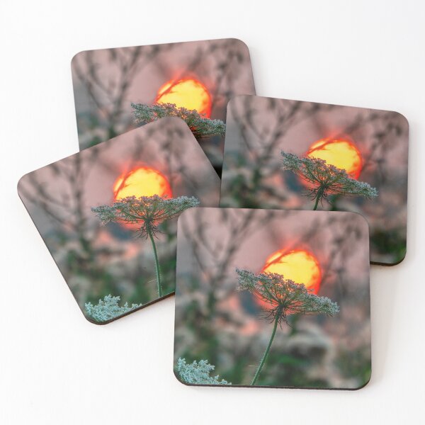Item preview, Wild Carrot and Setting Sun designed and sold by wildvalecreate.