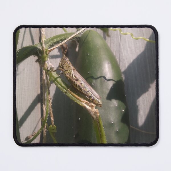 Item preview, Vines & Lines designed and sold by Aly Englund.