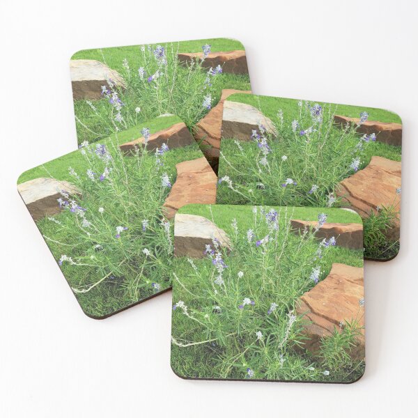 Item preview, Bluebonnets de Texas designed and sold by FunSizeMojo.
