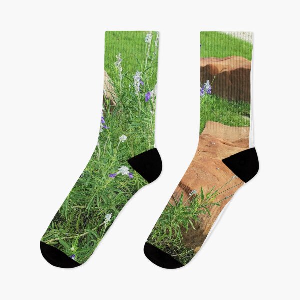 Item preview, Texas Bluebonnets designed and sold by FunSizeMojo.
