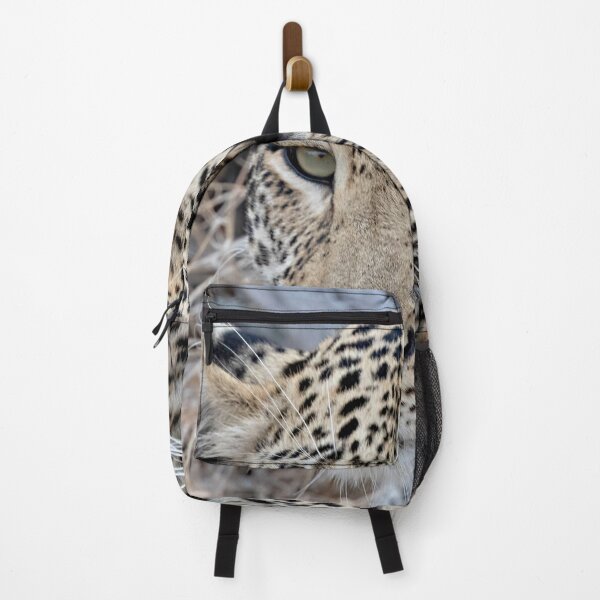 Item preview, Shasha - Young male leopard designed and sold by Michael Moss Photography.
