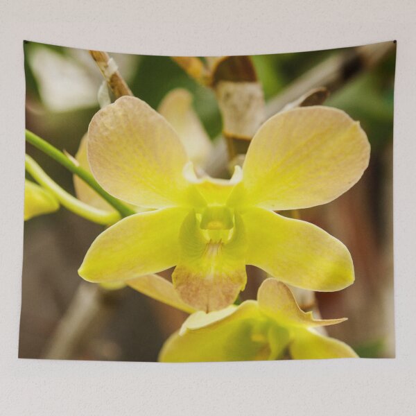 Item preview, Yellow Rose Orchid Photography Print designed and sold by griffingphoto.