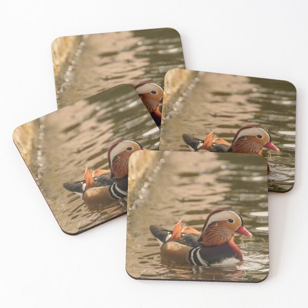 Item preview, Mandarin duck at the pond designed and sold by koalas1414.
