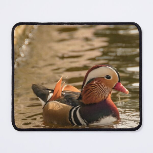 Item preview, Mandarin duck at the pond designed and sold by koalas1414.