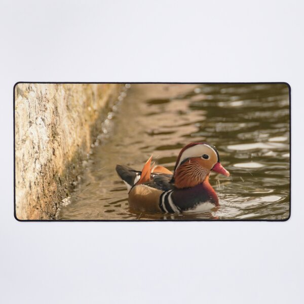 Item preview, Mandarin duck at the pond designed and sold by koalas1414.