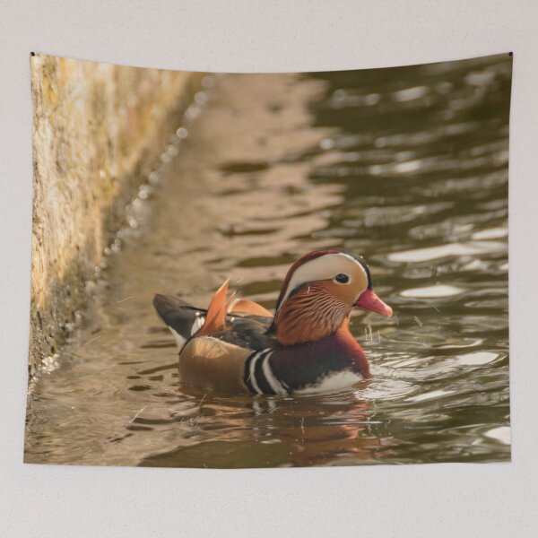 Item preview, Mandarin duck at the pond designed and sold by koalas1414.