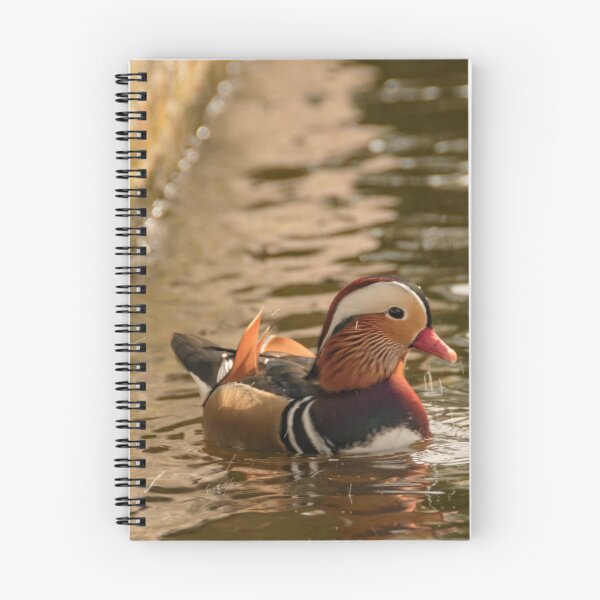 Item preview, Mandarin duck at the pond designed and sold by koalas1414.
