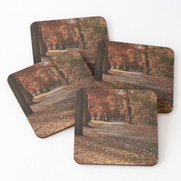 Item preview, Foliage, Shadows & the walking path... designed and sold by Poete100.