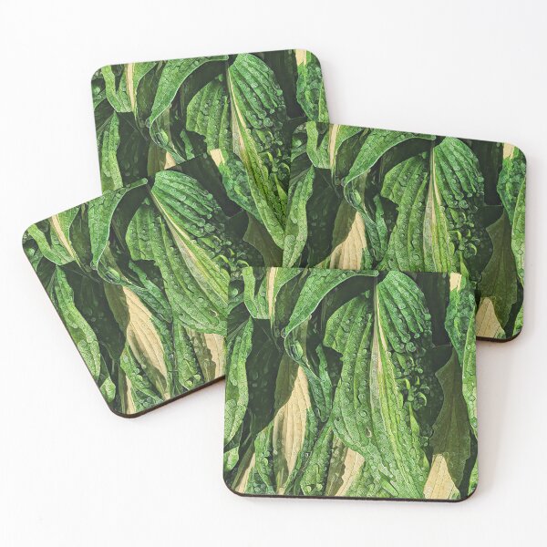 Item preview, Wet Hosta Leaves designed and sold by NearScapes.