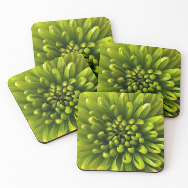 Item preview, Carnation Explosion designed and sold by NearScapes.