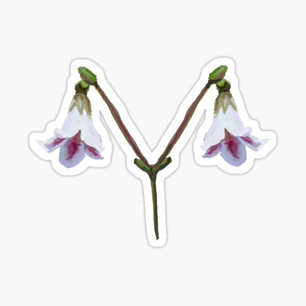 Item preview, Twinflower / Linnaea Borealis designed and sold by redbubbel.
