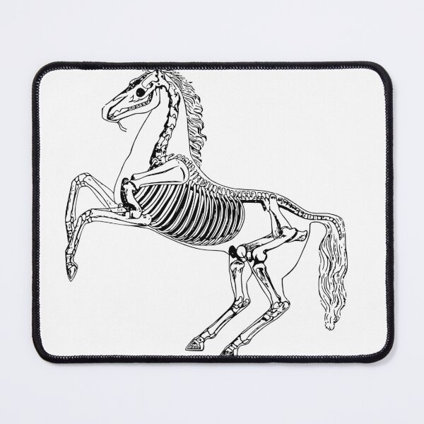 Item preview, skeleton horse designed and sold by M Mariatique.