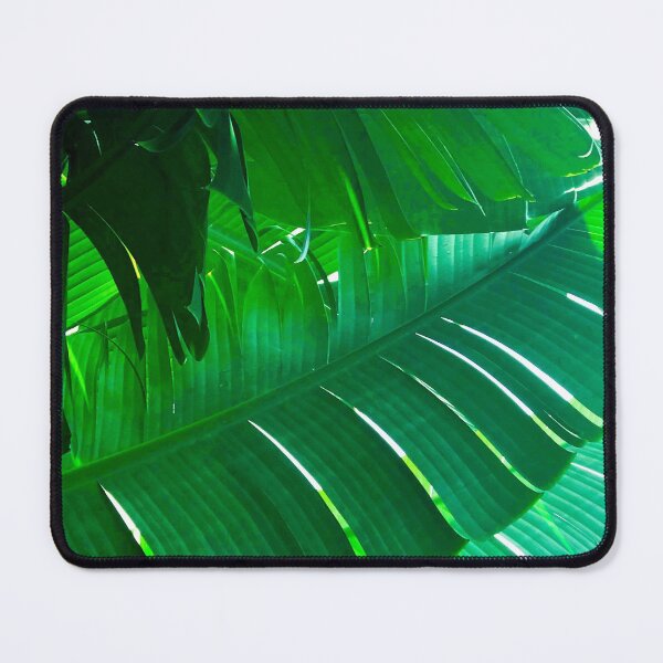 Item preview, Elegant Exotic Palm Leaves Photo Art designed and sold by DEC02.