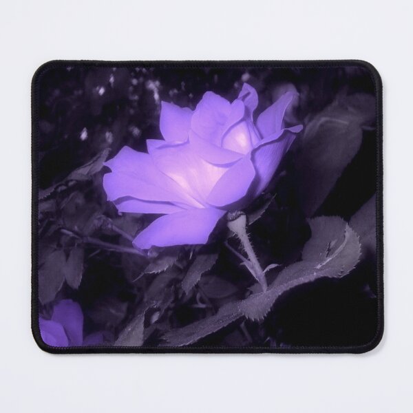 Item preview, Side View of Beautiful Rose in Purple Violet designed and sold by JariHawk.
