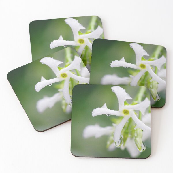 Item preview, Jasmine designed and sold by Penny Kittel.