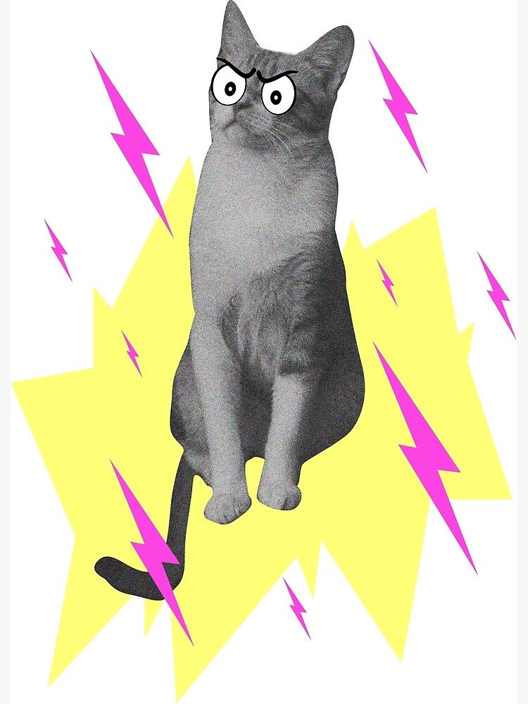 Angry Cat Photographic Print for Sale by TriforcePika