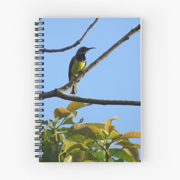 Item preview, Sunbird designed and sold by Rene-Martin.