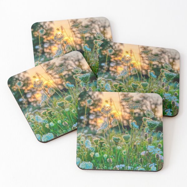 Item preview, Sunset behind Queen Anne's Lace designed and sold by wildvalecreate.