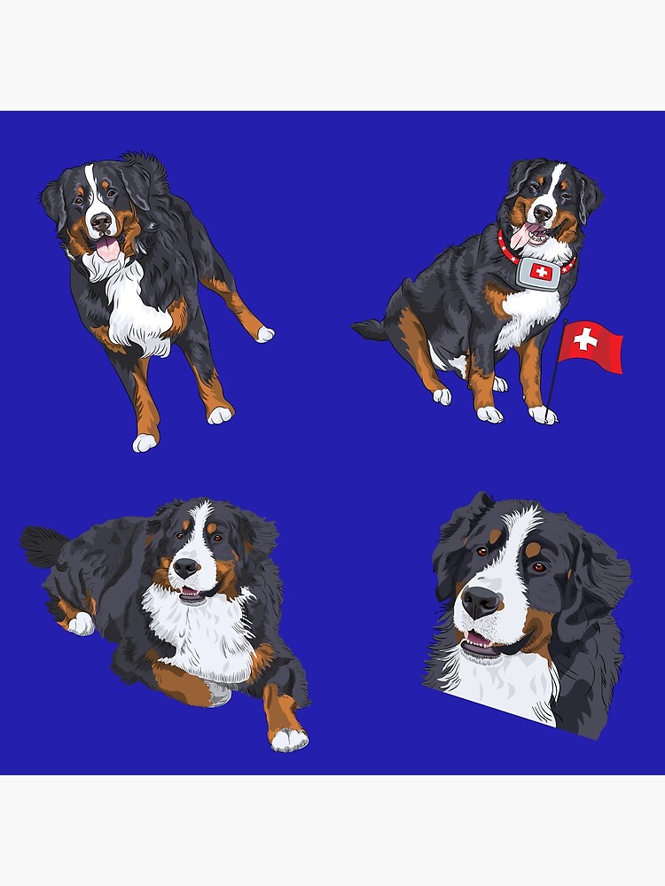 "Bernese Mountain Dog Pack " Poster for Sale by productivelazy Redbubble