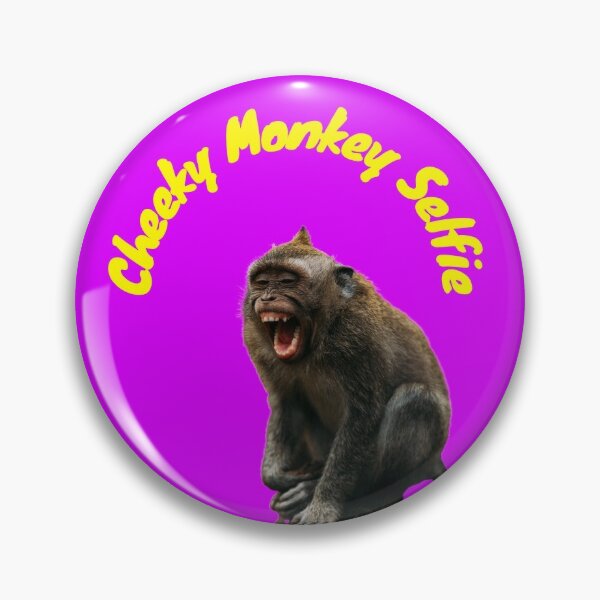 Pin by 𝐉𝐄𝐍. on Gifs  Monkey gif, Monkey puppet, Avengers funny