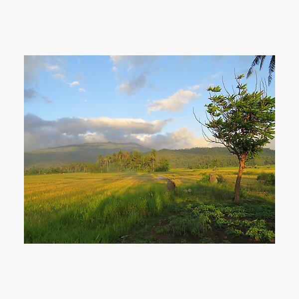Item preview, Farmland designed and sold by Rene-Martin.