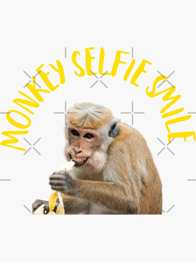 Curious monkeys enjoy taking selfies with GoPro