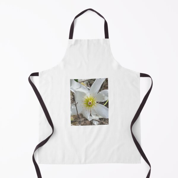 Item preview, Clematis  designed and sold by Terra Dumont.