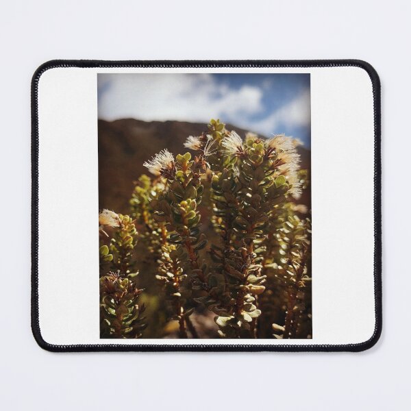 Item preview, Hebe designed and sold by Terra Dumont.