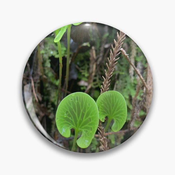 Item preview, Kidney fern designed and sold by Terra Dumont.