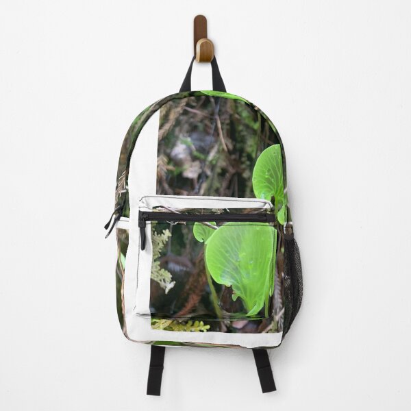 Item preview, Kidney fern designed and sold by Terra Dumont.