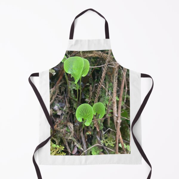 Item preview, Kidney fern designed and sold by Terra Dumont.