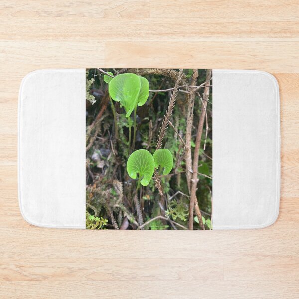 Item preview, Kidney fern designed and sold by Terra Dumont.