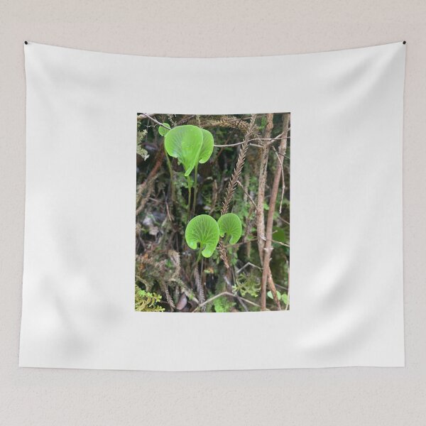 Item preview, Kidney fern designed and sold by Terra Dumont.