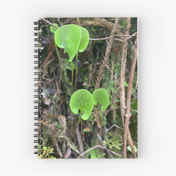 Item preview, Kidney fern designed and sold by Terra Dumont.