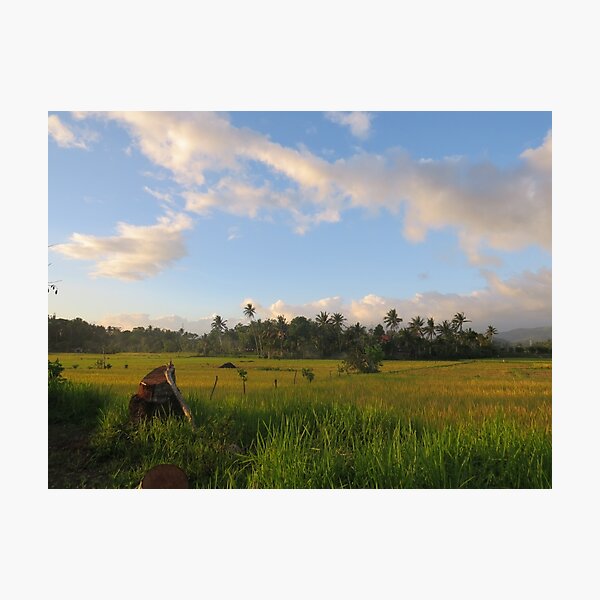 Item preview, Farmland designed and sold by Rene-Martin.