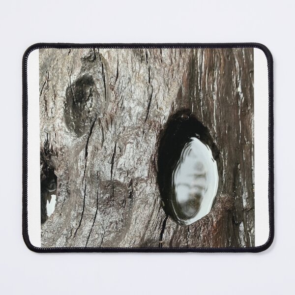 Item preview, Log designed and sold by Terra Dumont.