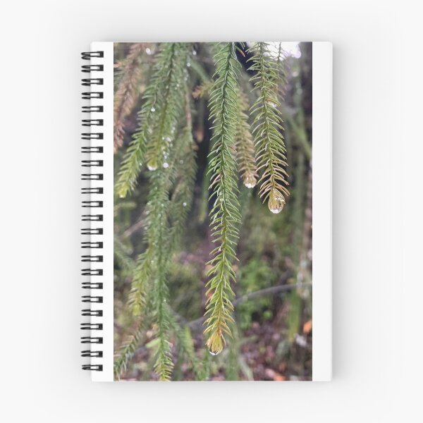 Item preview, Rimu  designed and sold by Terra Dumont.