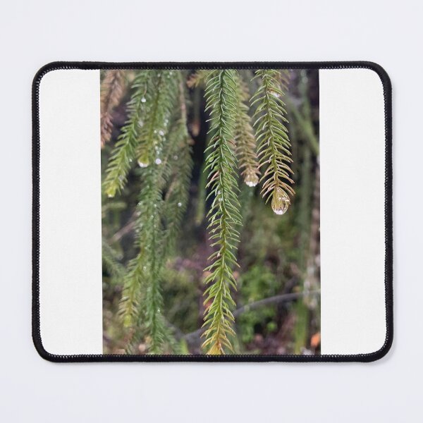 Item preview, Rimu  designed and sold by Terra Dumont.