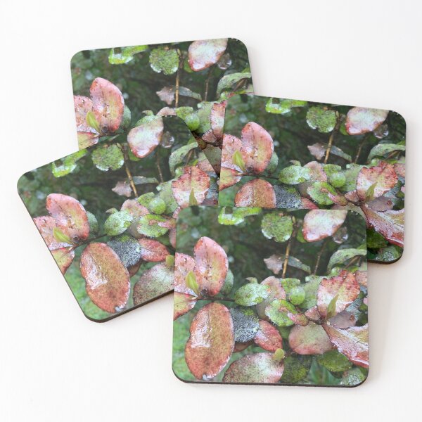 Item preview, Horopito  designed and sold by Terra Dumont.