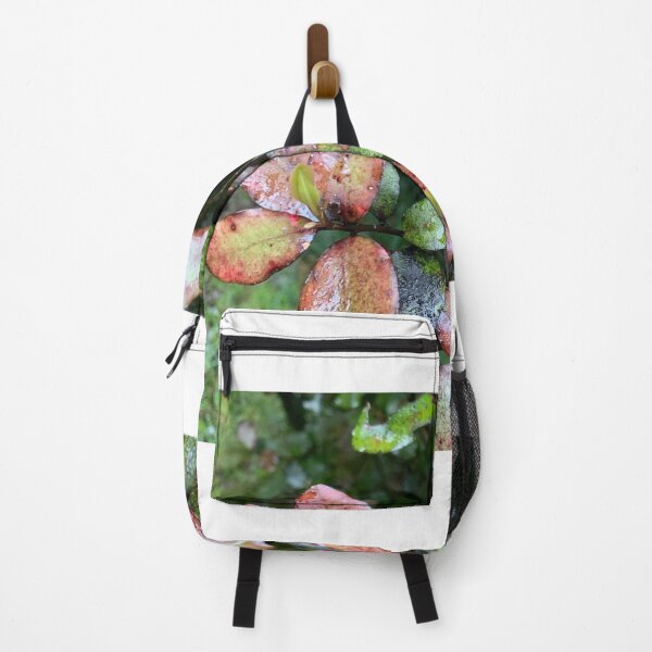 Item preview, Horopito  designed and sold by Terra Dumont.