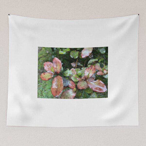 Item preview, Horopito  designed and sold by Terra Dumont.