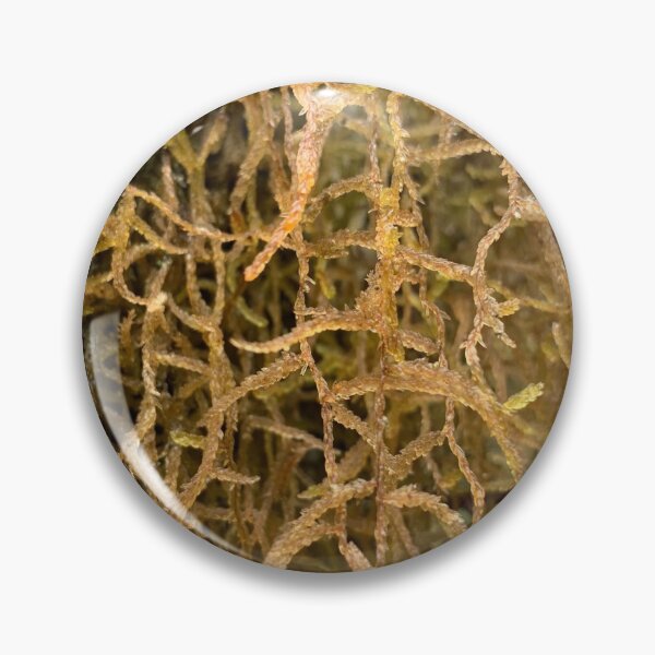 Item preview, Moss designed and sold by Terra Dumont.