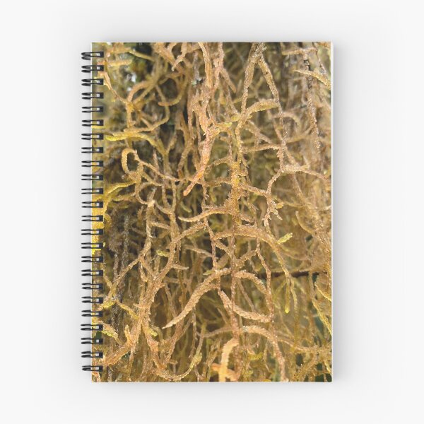 Item preview, Moss designed and sold by Terra Dumont.