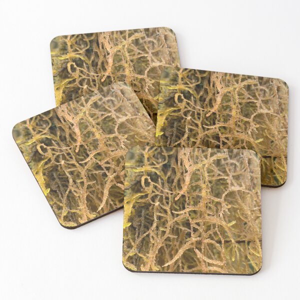 Item preview, Moss designed and sold by Terra Dumont.
