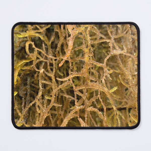 Item preview, Moss designed and sold by Terra Dumont.