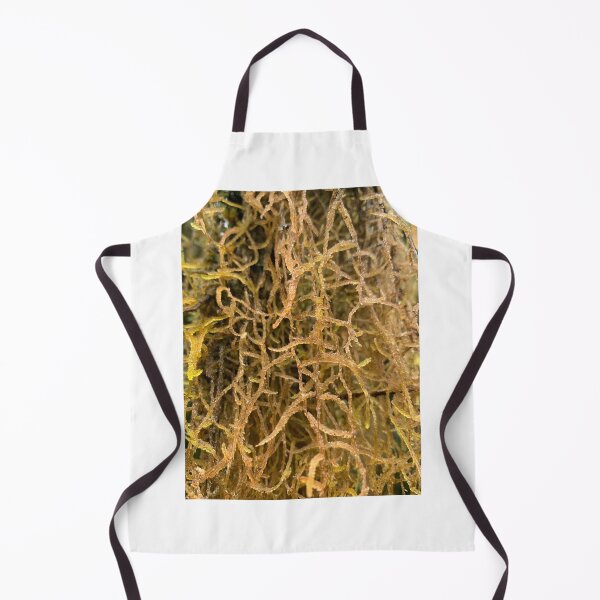 Item preview, Moss designed and sold by Terra Dumont.
